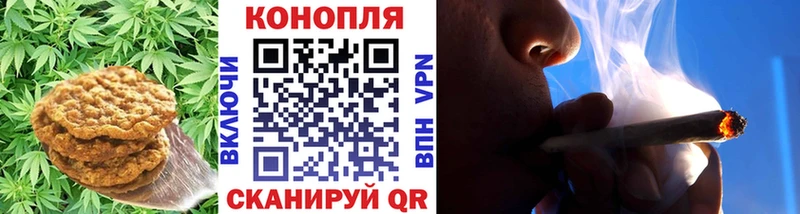 Canna-Cookies марихуана  Купить  Киселёвск 