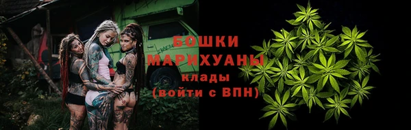 прущие грибы Алзамай