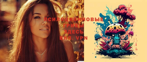 соль ск Наволоки